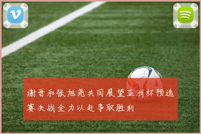 谢晋和张旭尧共同展望亚洲杯预选赛决战全力以赴争取胜利