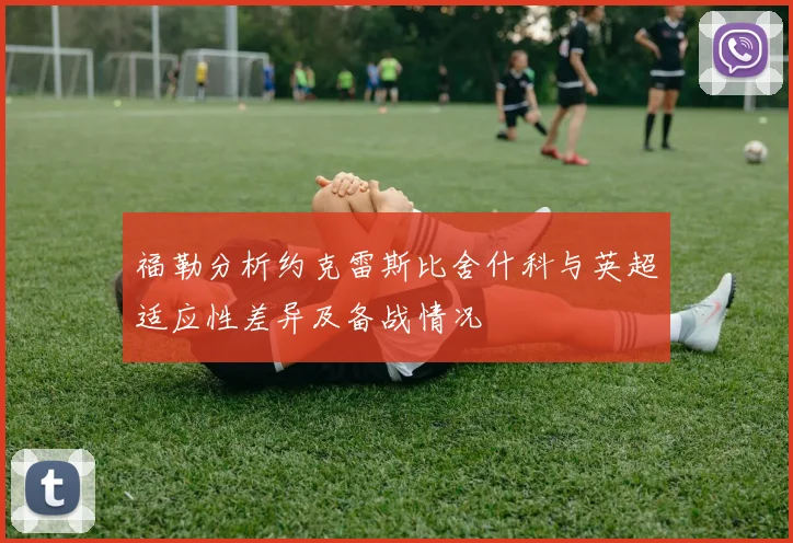 福勒分析约克雷斯比舍什科与英超适应性差异及备战情况