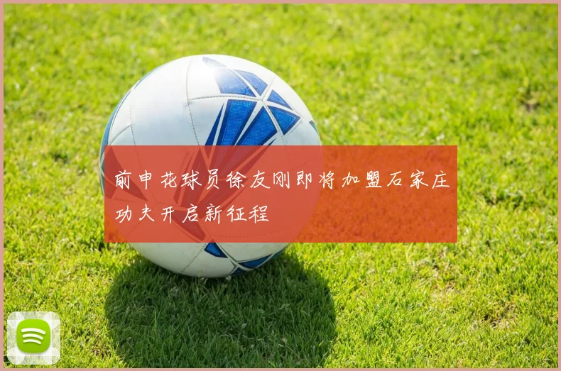 前申花球员徐友刚即将加盟石家庄功夫开启新征程